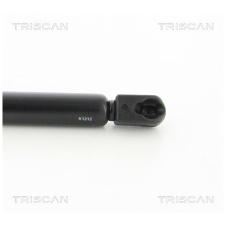 Vérin de capot TRISCAN