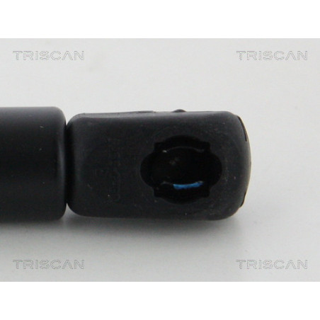 Vérin de capot TRISCAN