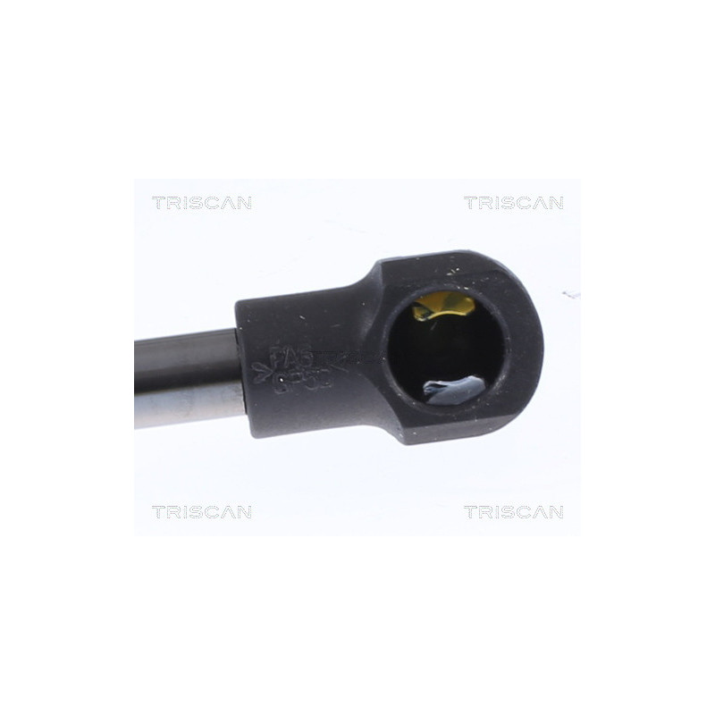 Vérin de capot TRISCAN