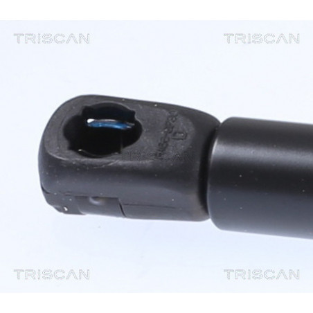 Vérin de capot TRISCAN