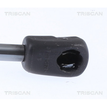 Vérin de capot TRISCAN