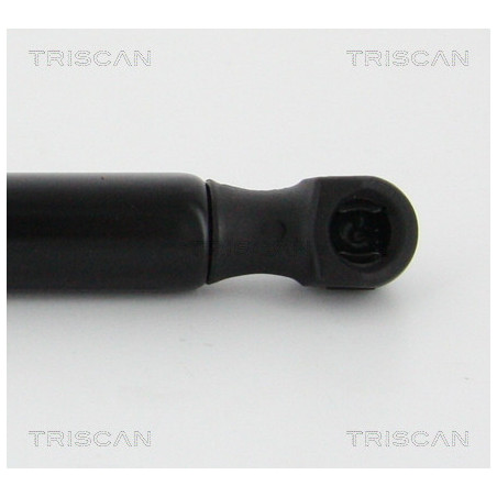 Vérin de coffre / hayon TRISCAN