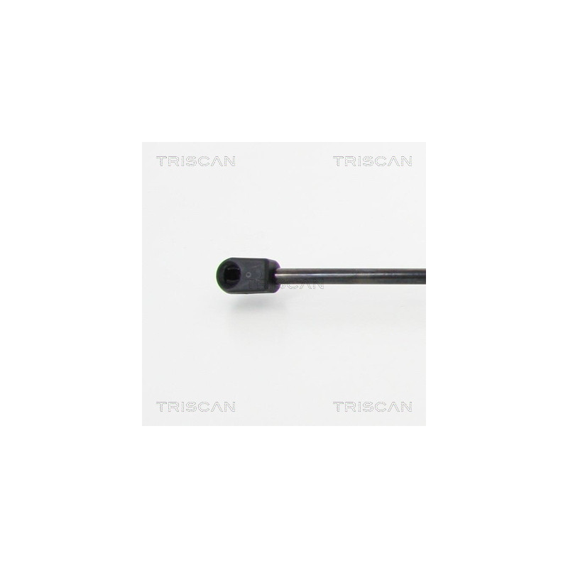 Vérin de coffre / hayon TRISCAN