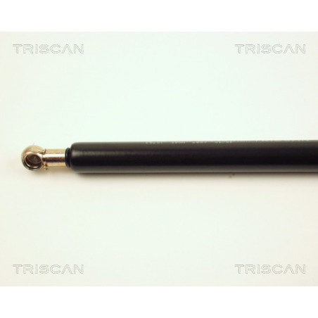 Vérin de coffre / hayon TRISCAN