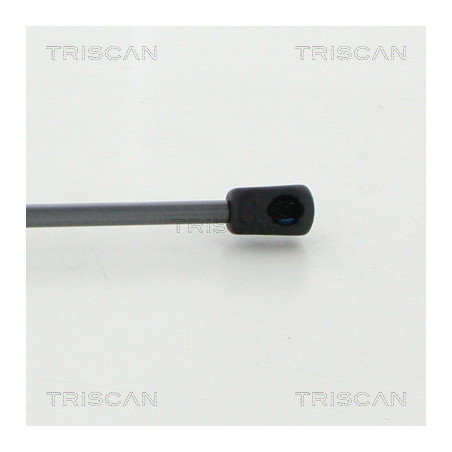 Vérin de coffre / hayon TRISCAN