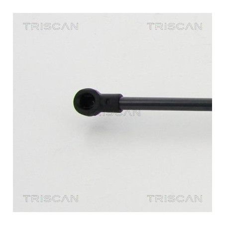 Vérin de coffre / hayon TRISCAN