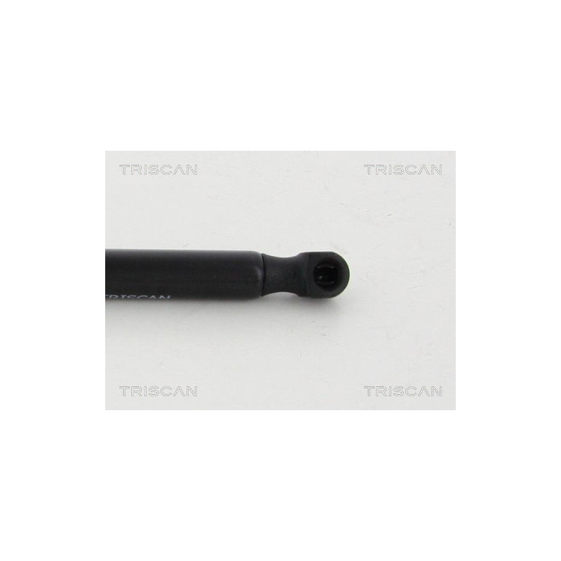 Vérin de coffre / hayon TRISCAN