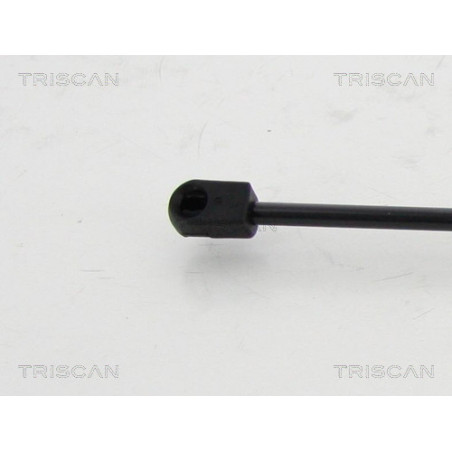 Vérin de coffre / hayon TRISCAN