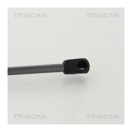 Vérin de coffre / hayon TRISCAN