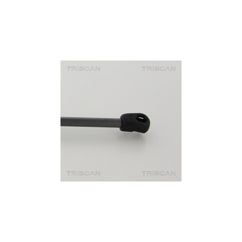 Vérin de coffre / hayon TRISCAN