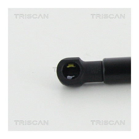 Vérin de coffre / hayon TRISCAN