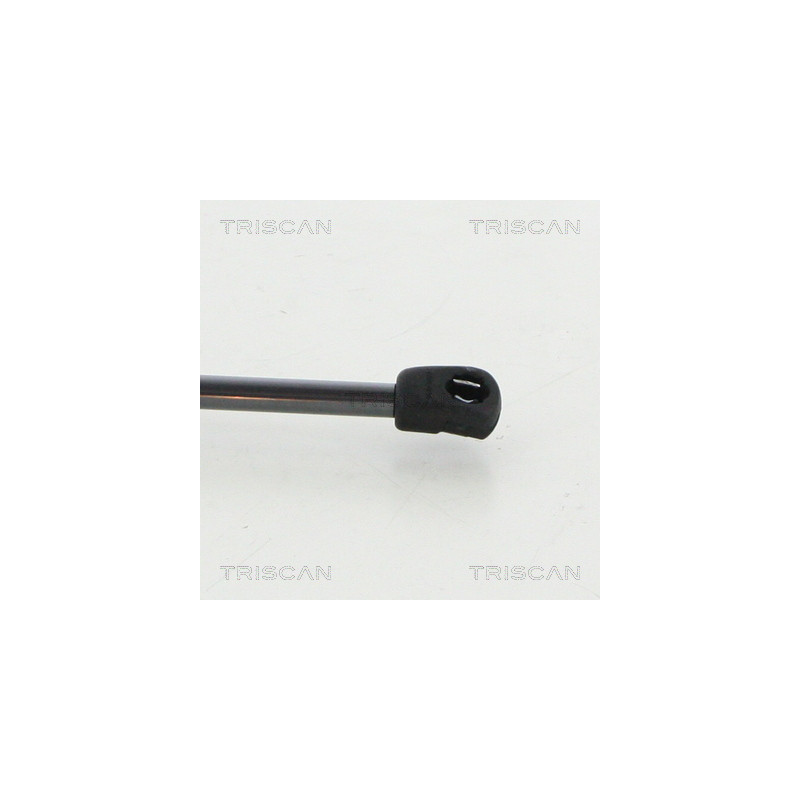 Vérin de coffre / hayon TRISCAN