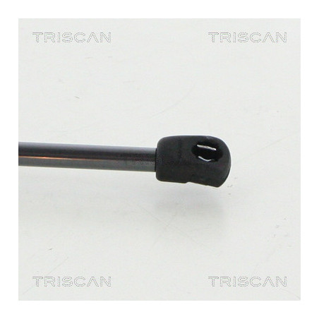 Vérin de coffre / hayon TRISCAN