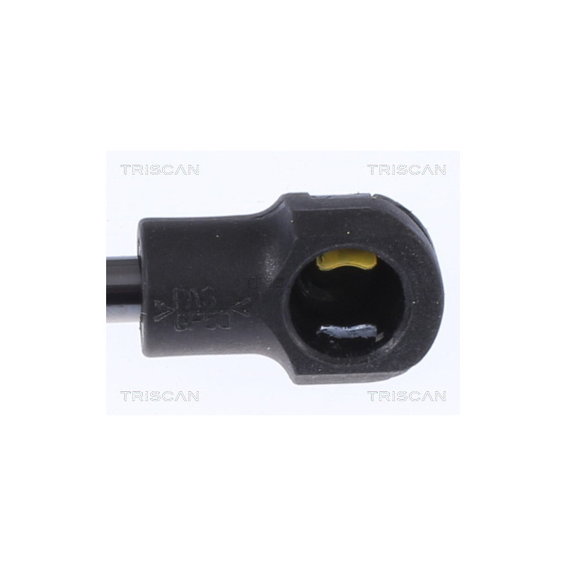 Vérin de coffre / hayon TRISCAN