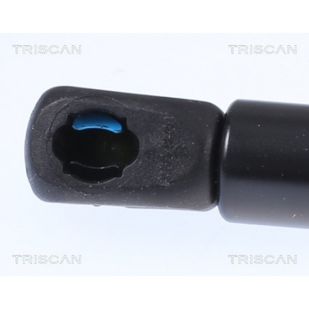 Vérin de coffre / hayon TRISCAN