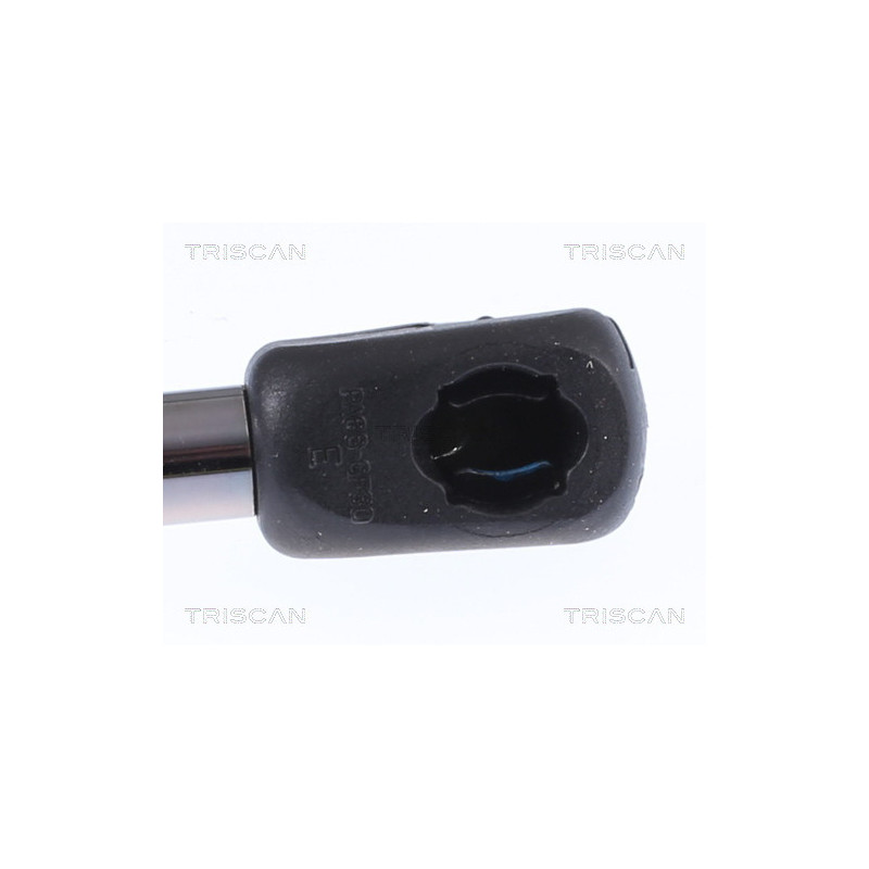 Vérin de coffre / hayon TRISCAN