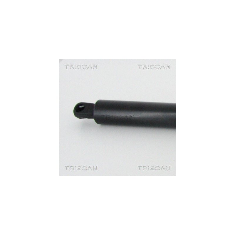 Vérin de coffre / hayon TRISCAN