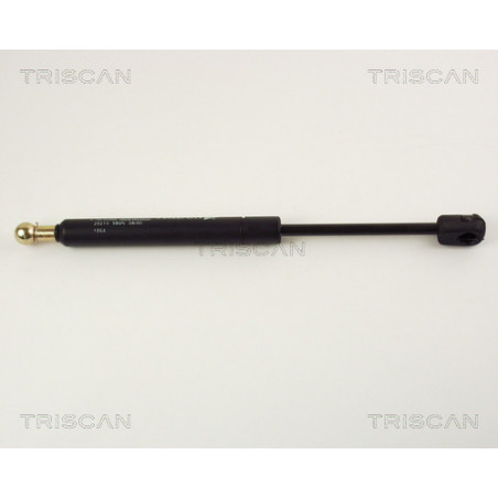 Vérin de coffre / hayon TRISCAN