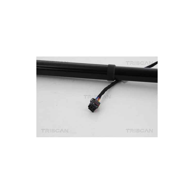 Vérin de coffre / hayon TRISCAN