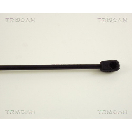 Vérin de coffre / hayon TRISCAN