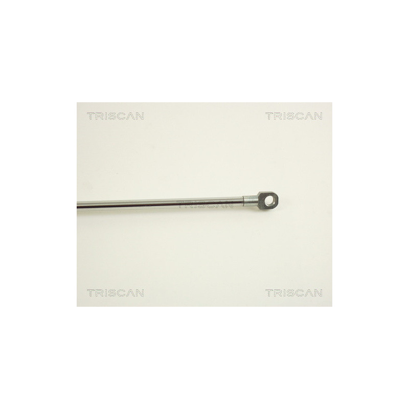 Vérin de coffre / hayon TRISCAN