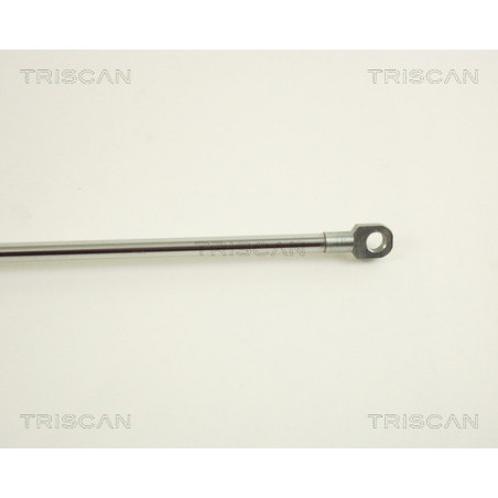 Vérin de coffre / hayon TRISCAN