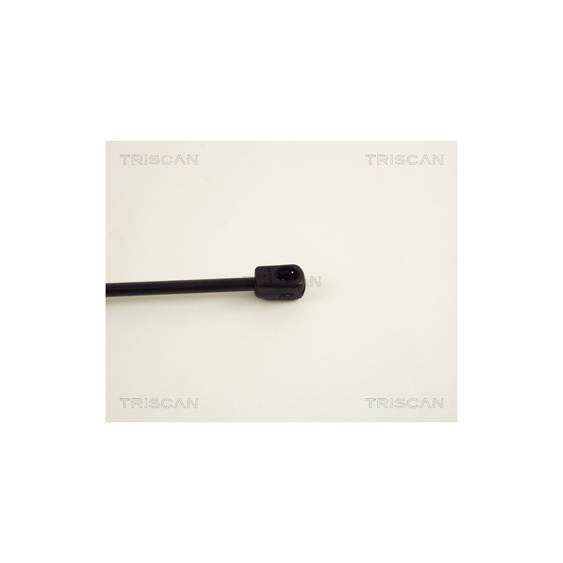 Vérin de coffre / hayon TRISCAN