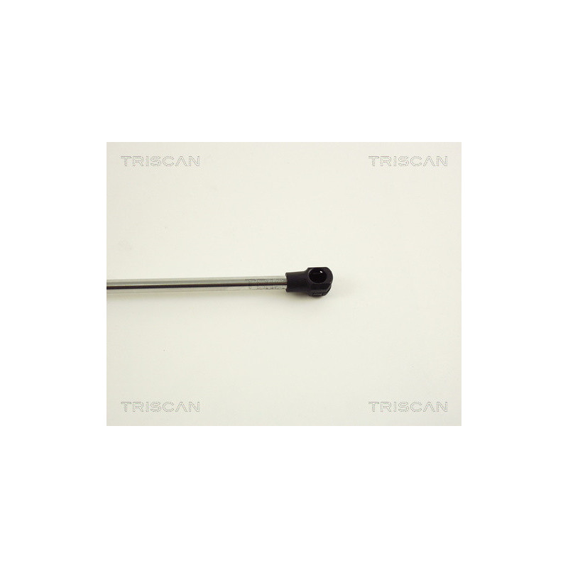 Vérin de coffre / hayon TRISCAN