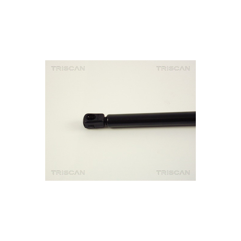 Vérin de coffre / hayon TRISCAN