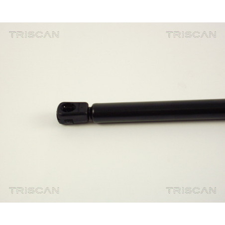 Vérin de coffre / hayon TRISCAN