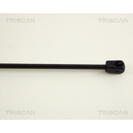 Vérin de coffre / hayon TRISCAN