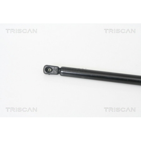 Vérin de coffre / hayon TRISCAN