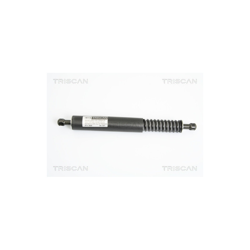 Vérin de coffre / hayon TRISCAN