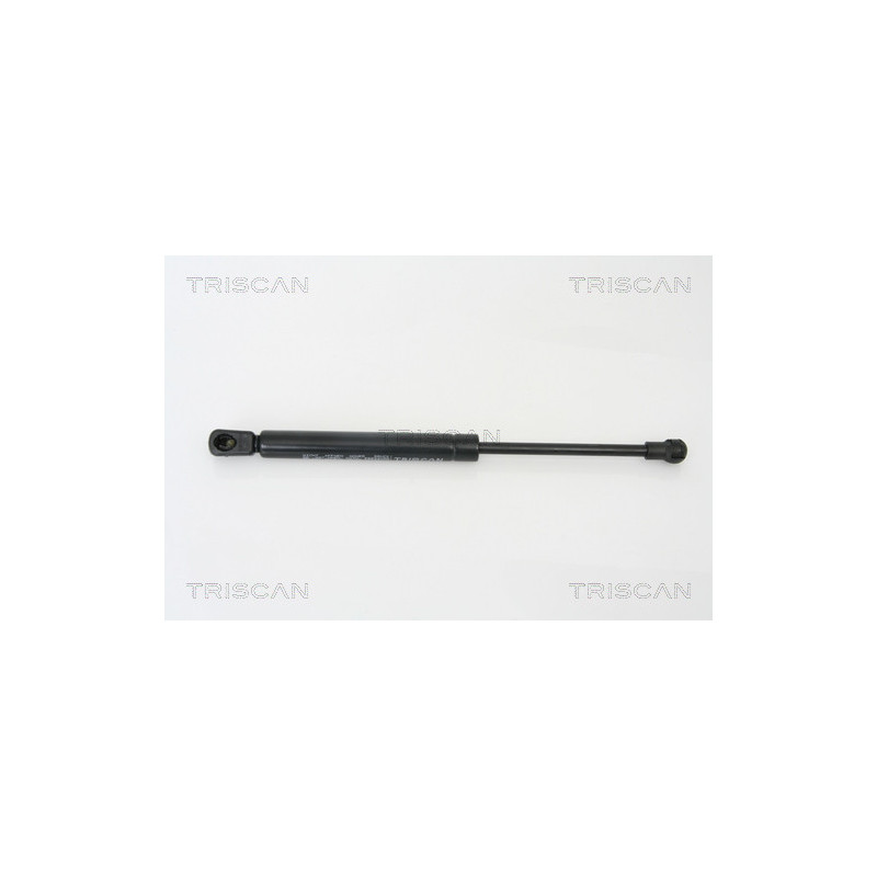 Vérin de coffre / hayon TRISCAN