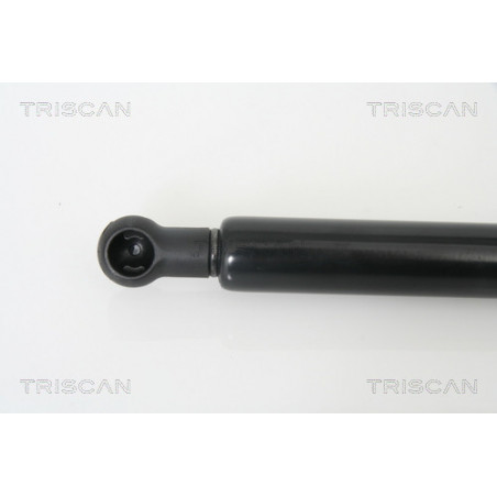 Vérin de coffre / hayon TRISCAN