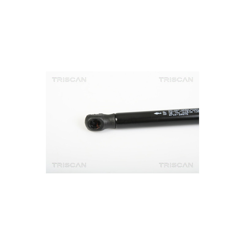 Vérin de coffre / hayon TRISCAN