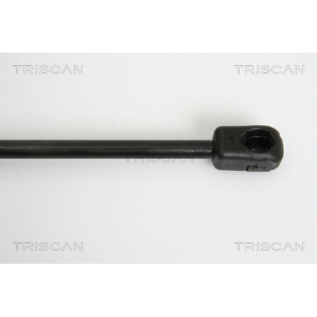 Vérin de coffre / hayon TRISCAN