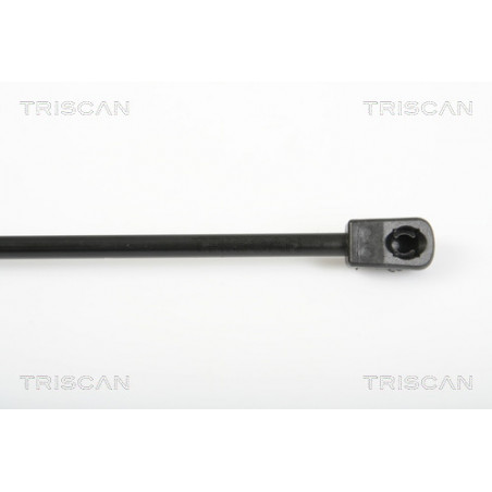 Vérin de coffre / hayon TRISCAN