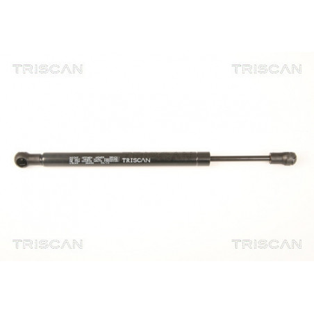 Vérin de coffre / hayon...