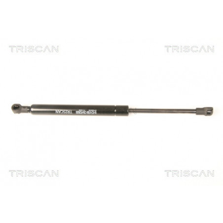 Vérin de vitre arrière TRISCAN