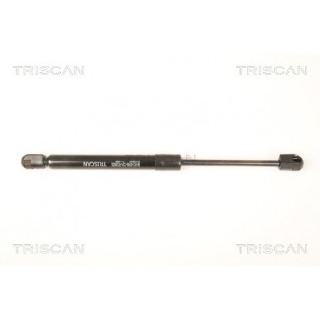 Vérin de coffre / hayon...