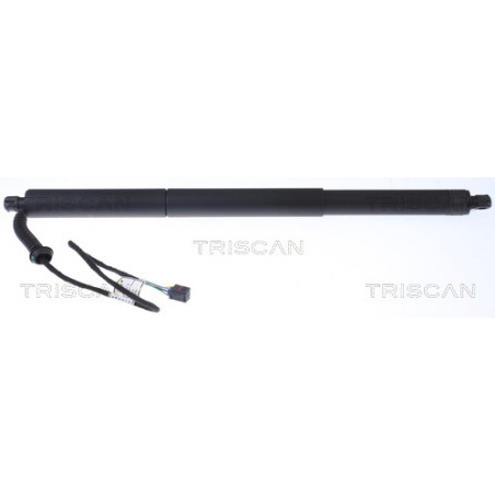 Vérin de coffre / hayon...