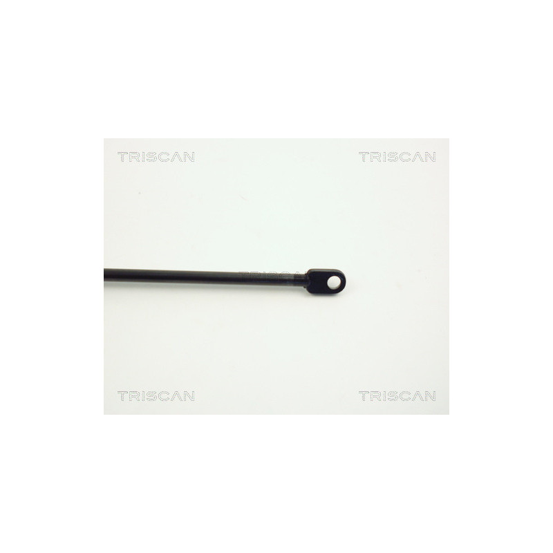 Vérin de coffre / hayon TRISCAN