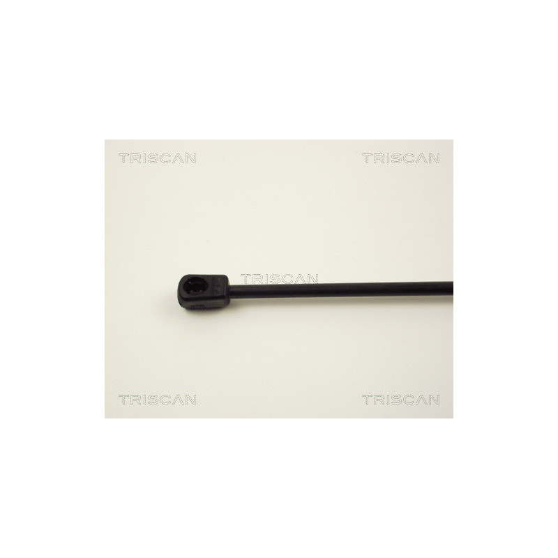 Vérin de coffre / hayon TRISCAN