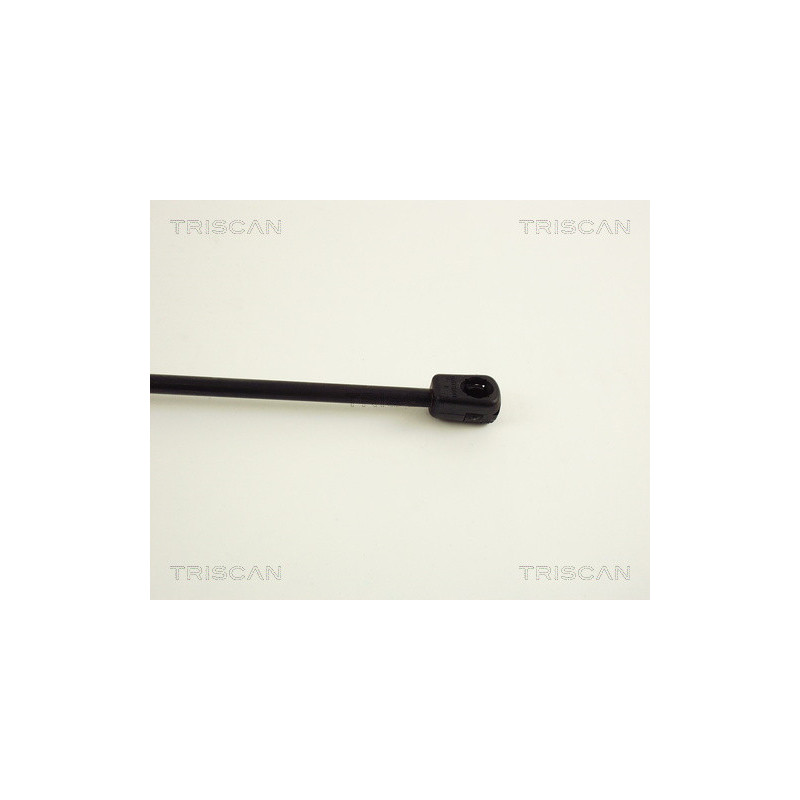 Vérin de coffre / hayon TRISCAN