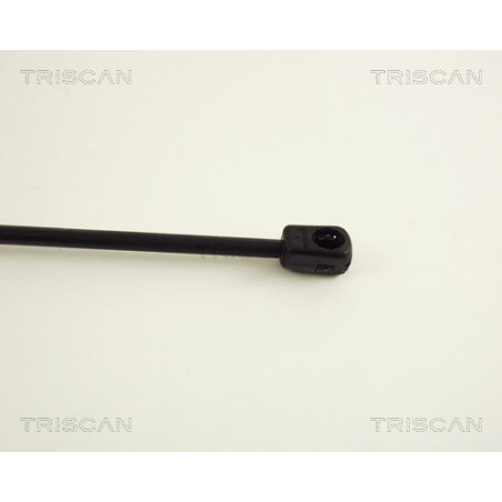 Vérin de coffre / hayon TRISCAN