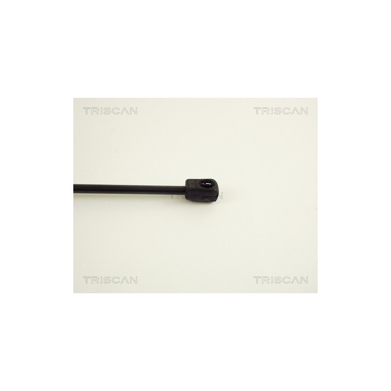 Vérin de coffre / hayon TRISCAN