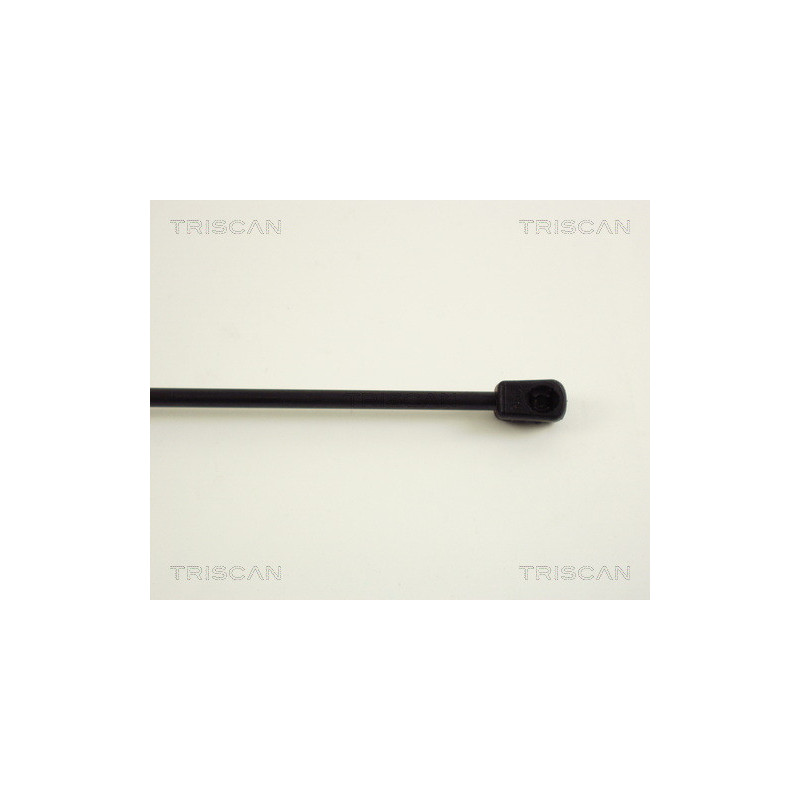 Vérin de coffre / hayon TRISCAN