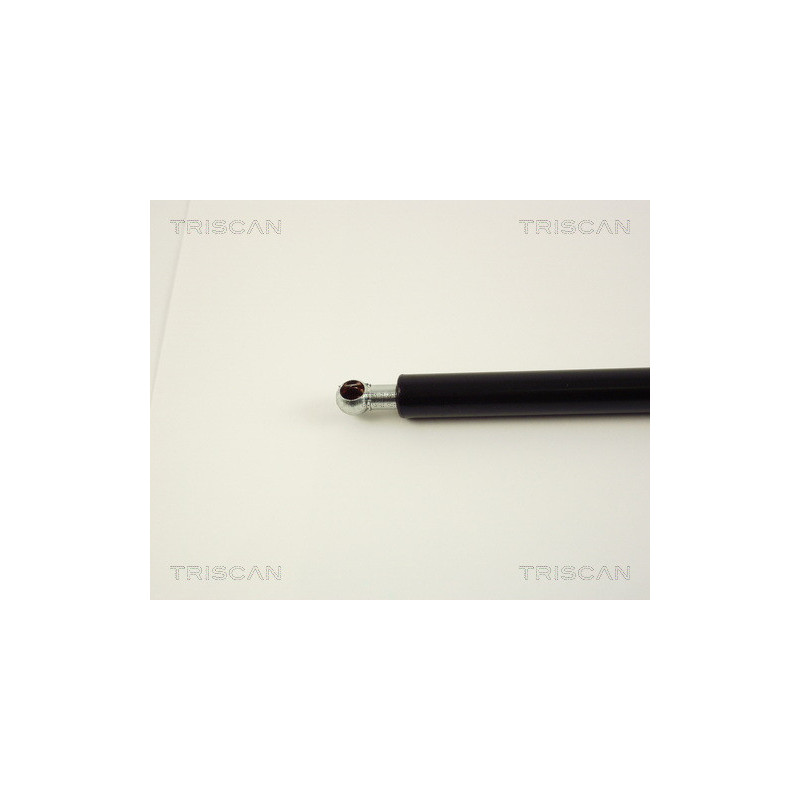 Vérin de coffre / hayon TRISCAN