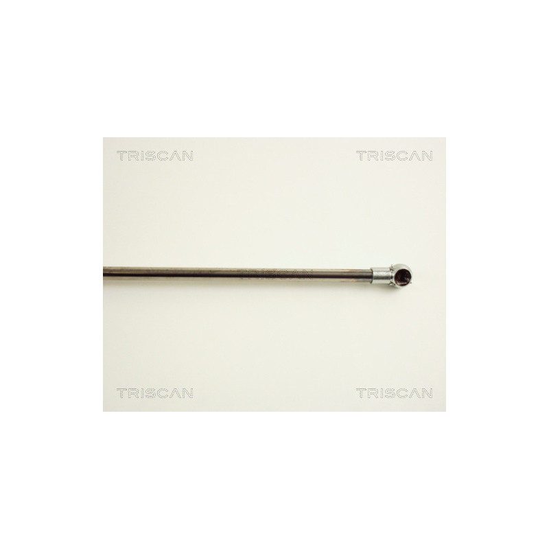 Vérin de coffre / hayon TRISCAN